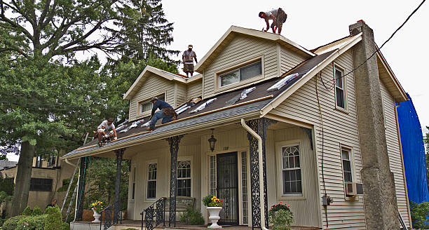 Best Roof Gutter Cleaning  in Terrell Hills, TX