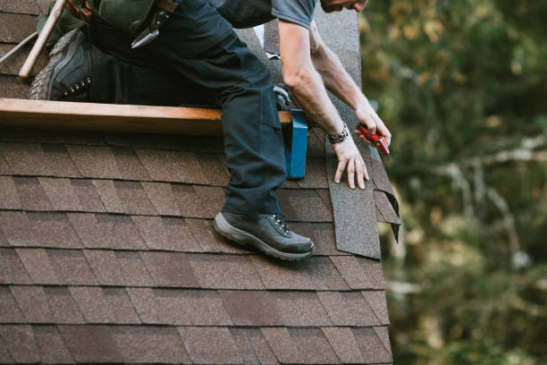 Best Storm Damage Roof Repair  in Terrell Hills, TX